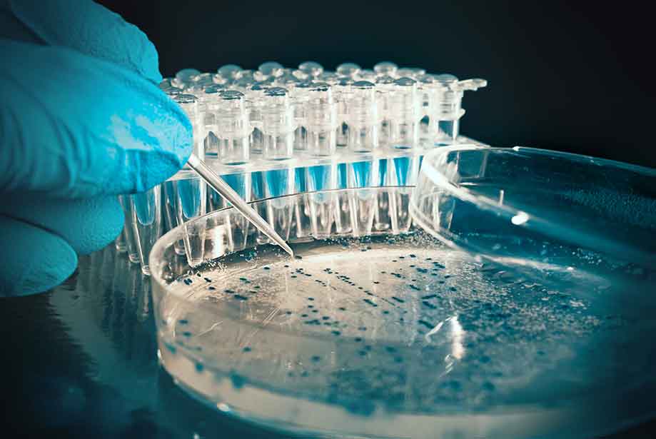CRISPR/Cas 9