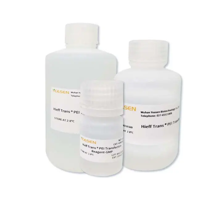 Hieff Trans™ PEI Transfection Reagent - 1.5 mL